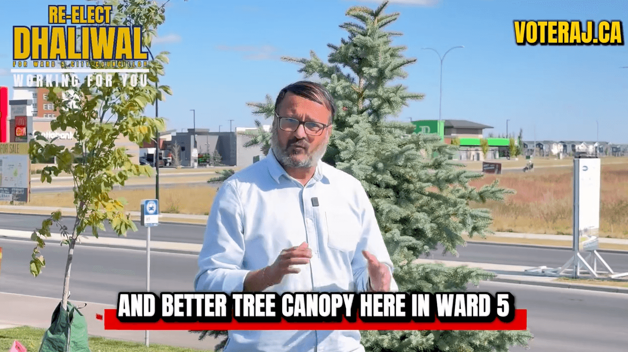 As a councillor, I brought forward a Notice of Motion to enhance tree canopy coverage in Ward 5.