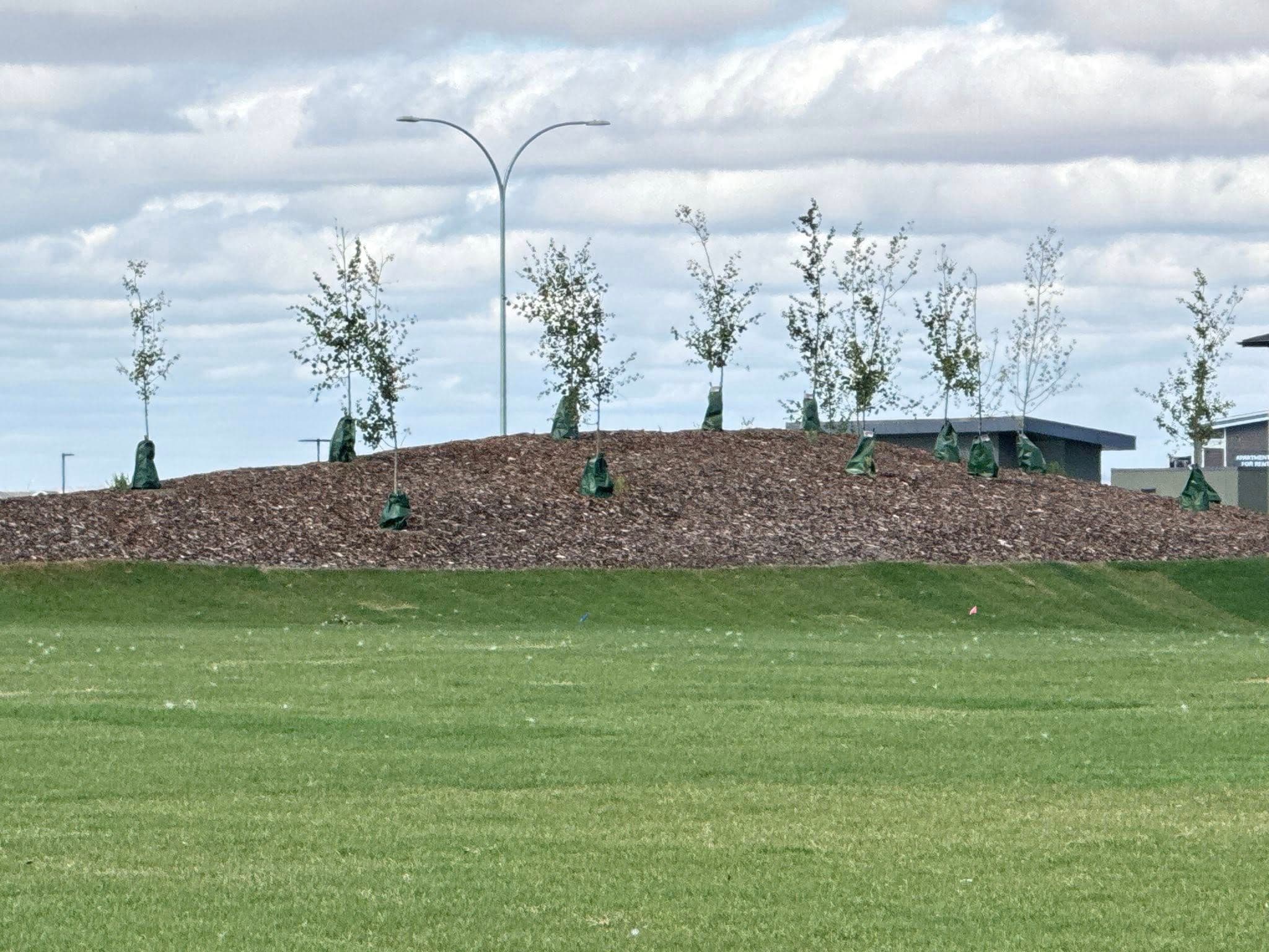 Had a great day in Cityscape knocking on doors and chatting with residents.